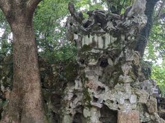 -绍兴鲁迅故里·沈园景区