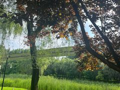 -唐城墙遗址公园