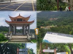 -深圳市中科院仙湖植物园