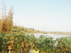 -白鹭湾湿地公园