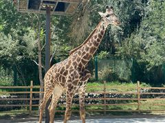 -水上乐园·欢乐世界