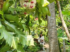-中国科学院西双版纳热带植物园
