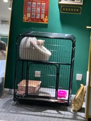 点击看大图 -邵老师打金·黄金加工(大望路总店)
