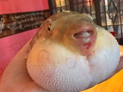 -永安鱼庄·镇江菜(丁卯店)