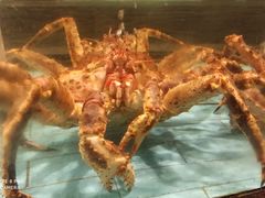 -西贝海鲜汇(槐安路店)