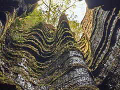 -梭布垭石林景区