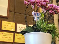 -新世纪大酒楼·30年南海菜