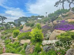 -罗红摄影艺术馆