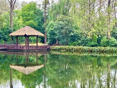 -溱湖国家湿地公园