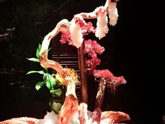 -蟹犇•帝王蟹雪蟹(陆家嘴店)