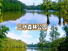 -三水森林公园