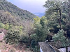 -韬光茶庵