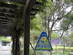 -白马涧龙池景区