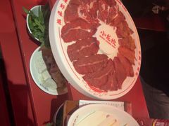 -小龙坎火锅(全球旗舰店)