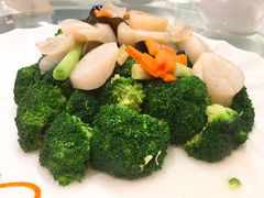 西兰花木耳带子-南园酒家(前进路店)