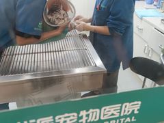 -瑞派紫金宠物医院24小时·骨科·中兽医·重症转诊中心(番禺大石院)