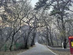 -北陵公园