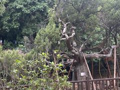 -草庵摩尼教遗址公园