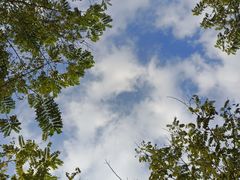 -白石龙音乐公园