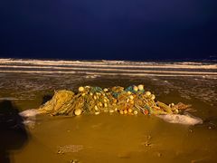 -金海滩海水浴场