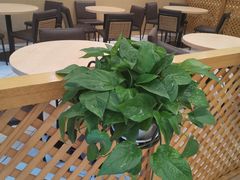 大堂-德克士(宽甸店)