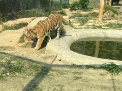 -泉州海丝野生动物世界