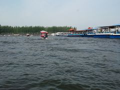 -白洋淀景区