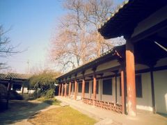 -西安青龙寺遗址景区