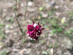 -苏州河梦清园环保主题公园