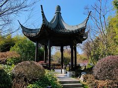 -上海共青森林公园