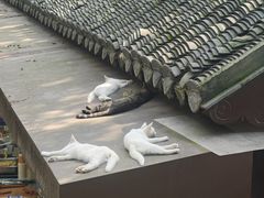 -狼山风景名胜区