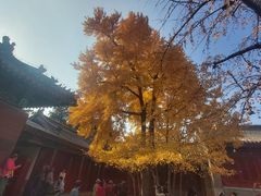 -承恩寺
