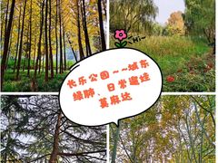 -西安市长乐公园