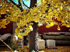 -北京石刻艺术博物馆(五塔寺)