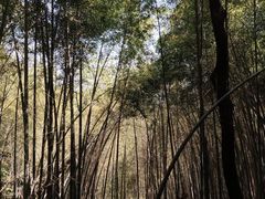 -敬亭山风景名胜区