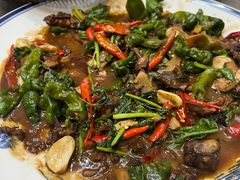 -食鸡公社辣子鸡·潍坊菜·烧烤