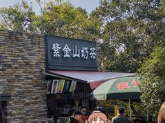 -紫金山山顶公园