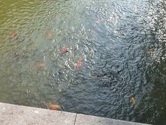 -南翠屏公园