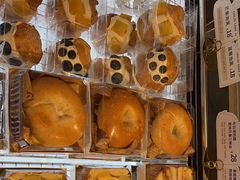 -TD66高山铁皮石斛养生茶饮