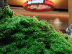 -菌自在·云南野生菌火锅(长安万达店)