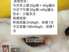 -北京派仕佳德动物医院·超导核磁·CT·神经科·骨科·内外科·急重症管理中心