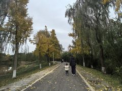 -白鹭湾湿地公园