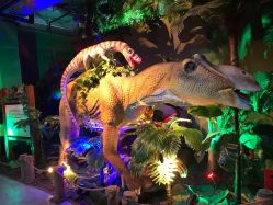 -恐龙探索乐园(磁器口店)