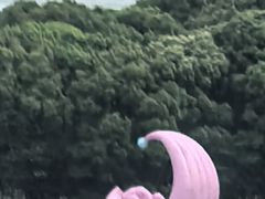 -苏州洲际酒店·大堂酒廊