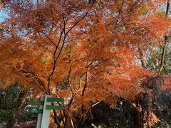 -杭州半山国家森林公园