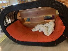 -纽斯洗浴SPA(三墩店)