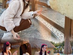 -珠海海泉湾神秘岛亲子乐园