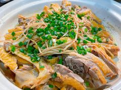 -洞密园美食城(富华路店)