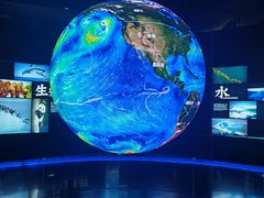 -贝林大翅鲸简餐厅(国家海洋博物馆店)