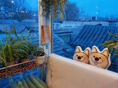 -小时光咖啡馆(北锣鼓巷店)